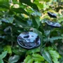 Floral decoration - Small glass flower for outdoor use in black, red - CARNEOL GLASS
