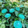 Floral decoration - Round small glass flower for outdoor use in green, dark blue, white colour with 43 cm stainless steel stem - CARNEOL GLASS