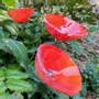 Accessoires de jardinage - Fleur de cala rouge de taille moyenne - CARNEOL GLASS