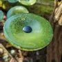 Floral decoration - Round small glass flower for outdoor use in transparent, applegreen colour with 43 cm stainless steel stem - CARNEOL GLASS