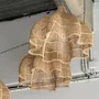 Hanging lights - Suspension, rattan lamp in the shape of a flower, tulip, corolla H:50 - OFFICE OBJETS