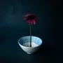Bowls - RAMI bowls, 3 different colors and sizes,  taupe, blue, black - KLATT OBJECTS