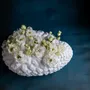 Vases - Metamorphose Testudinaria, vase, bone china, white - KLATT OBJECTS