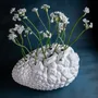 Vases - Metamorphose Testudinaria, vase, bone china, white - KLATT OBJECTS