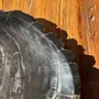 Platter and bowls - Very large empty pouch or dish in black petrified wood D35 - OFFICE OBJETS