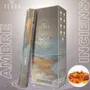 Home fragrances - Terra Charcoal Free Incense Hexa - Amber 30g - ARABESK