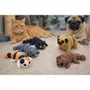 Cadeaux - Mini figurines chiens et chats à collectionner - ZANIMIZ