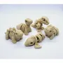 Cadeaux - Mini figurines dinosaures squelettes à collectionner - ZANIMIZ