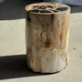 Stools - Multicolor petrified wood side table H45 D24 - 3328 - OFFICE OBJETS