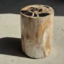 Stools - Multicolor petrified wood side table H45 D24 - 3328 - OFFICE OBJETS
