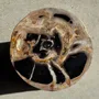 Stools - Multicolor petrified wood side table H45 D24 - 3328 - OFFICE OBJETS