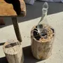 Coffee tables - Multicolor petrified wood side table H45 D24 - 3329 - OFFICE OBJETS