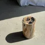 Coffee tables - Multicolor petrified wood side table H45 D24 - 3329 - OFFICE OBJETS