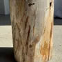 Coffee tables - Multicolor petrified wood side table H45 D24 - 3329 - OFFICE OBJETS