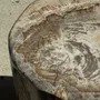 Coffee tables - Very large white and gray petrified wood side table H45 D39 - OFFICE OBJETS