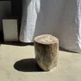 Coffee tables - Very large white and gray petrified wood side table H45 D39 - OFFICE OBJETS