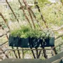 Window boxes - HANGING BALCONY WINDOW - BACSAC®