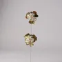Objets de décoration - Alchemilla Aura - Capteur de soleil en cristal fait main - CÂPÂ JEWELRY