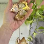 Objets de décoration - Alchemilla Aura - Capteur de soleil en cristal fait main - CÂPÂ JEWELRY