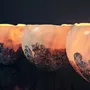 Objets de décoration - Coquille - PONPON CURIOSITAS