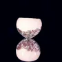 Objets de décoration - Coquille - PONPON CURIOSITAS