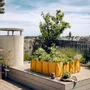 Jardinières - CARRÉS POTAGERS - BACSQUARE - BACSAC®