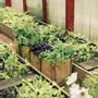 Jardinières - JARDINIÈRE BACLONG - BACSAC®