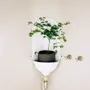 Pots de fleurs - POTS CLASSIQUES - BACSAC®
