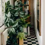 Pots de fleurs - POTS CLASSIQUES - BACSAC®
