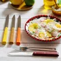 Knives - Table knives - Bon Appetit wood - OPINEL