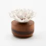 Other office supplies - Carnation fragrance diffuser, natural essential oil diffuser - ANOQ