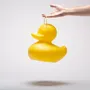 Outdoor decorative accessories - Duck Duck Lamp S (31cm) - GOODNIGHT LIGHT