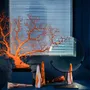 Objets de décoration - Coraux - ATELIERS DAVOY