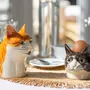Moulins à épices - Chats - QUAIL DESIGNS EUROPE BV