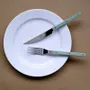 Flatware - Set of 4 pieces - Bistrot Solid, Asparagus - SABRE PARIS