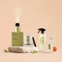 Home fragrances - Lacrosse collection - THE OLPHACTORY