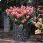 Décorations florales - Set de cache-pots Les noirs et blancs - BONCOEURS