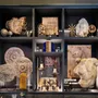 Objets de décoration - Le Cabinet du Collectionneur - ATELIERS DAVOY