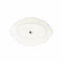 Everyday plates - Early bird  -  plate / cup / bowl / teapot - MARUMITSU POTERIE