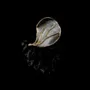 Bijoux - Bague Pothos Planet - V UNIQUENESS FINE GREEK JEWELRY