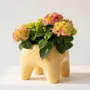 Pots de fleurs - Cache-pot BUDDY – Butter - BIBAH