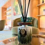 Scent diffusers - Handcrafted Luxury Diffuser - Drias - ANĀSA COLLECTION