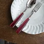 Ménagères - Set de 4 couverts de table - Icône, Rouge - SABRE PARIS