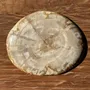 Assiettes de réception - Petit vide poche ou plat en bois pétrifié ovale beige cernes moucheté - OFFICE OBJETS