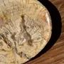 Platter and bowls - Small empty pouch or dish in beige petrified wood oval with crystal ri - OFFICE OBJETS