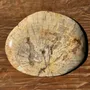 Platter and bowls - Small empty pouch or dish in beige petrified wood oval with crystal ri - OFFICE OBJETS