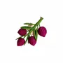 Plats et saladiers - Olive Branch Napkin Ring - CORO CORA