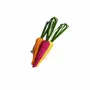 Plats et saladiers - Rainbow Carrots Napkin Ring - CORO CORA