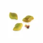 Kitchen utensils - CH039 - RIFLESSO-P - TRITAN MOULD N.24 44X28 H 15 MM - SILIKOMART S.R.L.