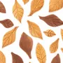 Kitchen utensils - VOILA' COOKIE - LEAVES - COOKIE SHAPER 240X150 H 20 MM - SILIKOMART S.R.L.